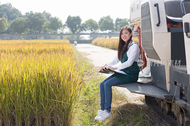 年轻的亚洲女性农学家在金色的田野