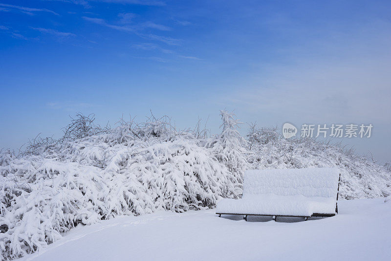 公园里的长椅上有雪