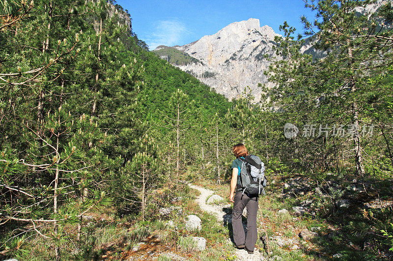 在森林徒步旅行