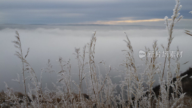 霜冻覆盖着草，雾气笼罩着山谷