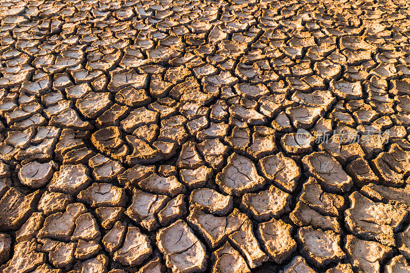 干涸的土地-全球变暖-干燥，干燥的土地