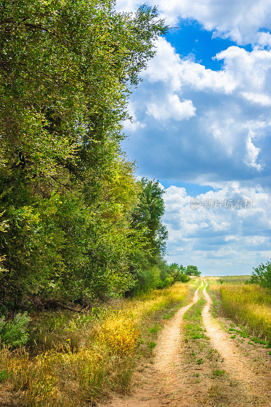 西德克萨斯州绿树成荫的蜿蜒土路