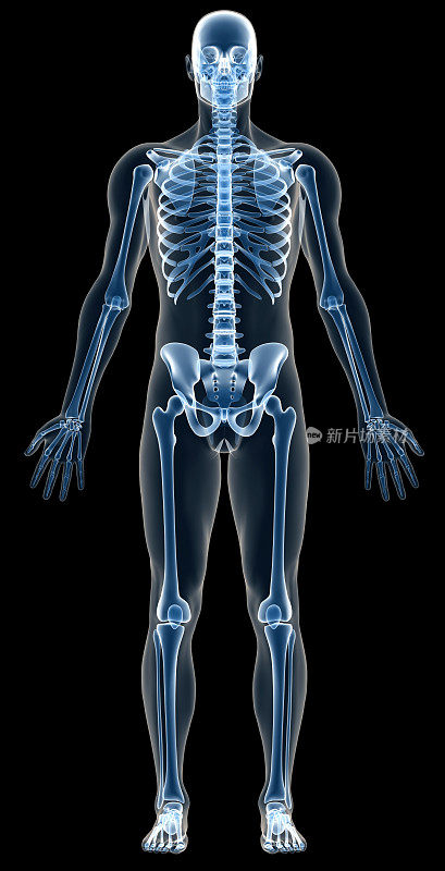 用x光照射人体骨骼进行研究