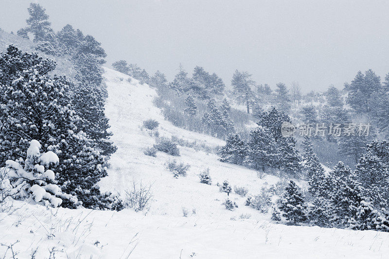 大雪