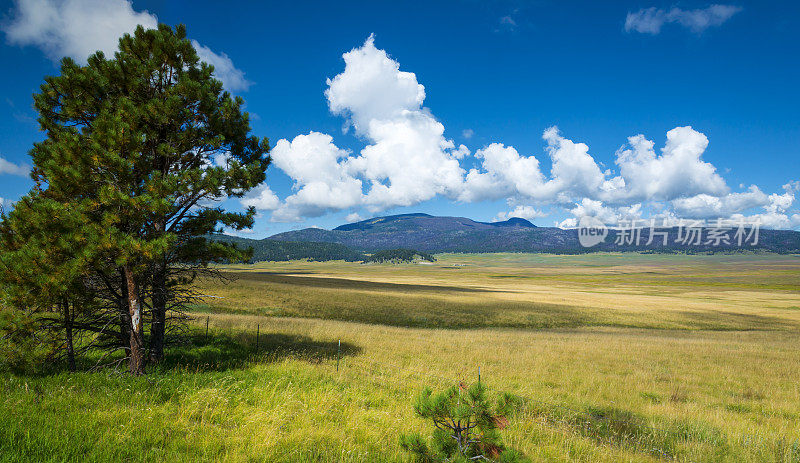 峡谷火山口国家保护区