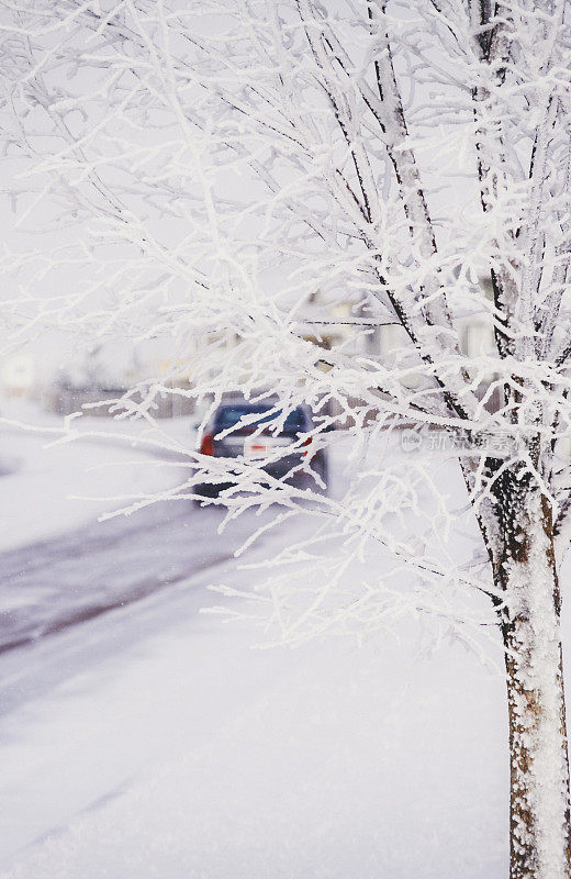 大雪期间科罗拉多州的居民区