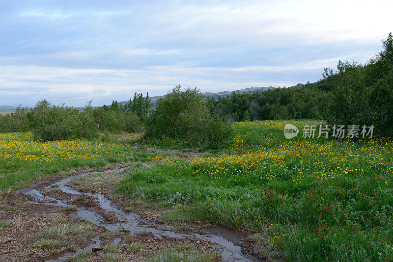 冰岛的Geysir温泉