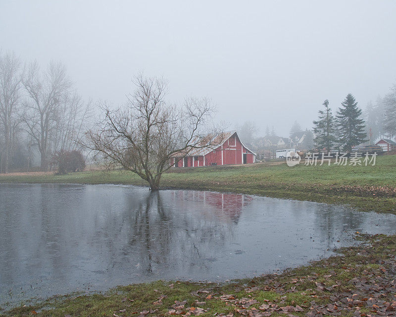 红谷仓映在池塘里