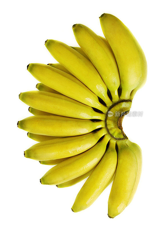 一串小香蕉