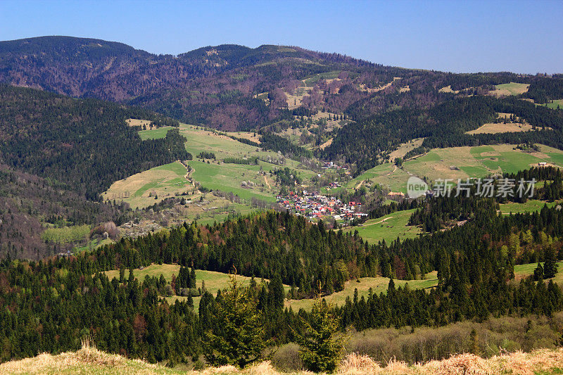 春天。村庄在山。Pieniny,波兰。