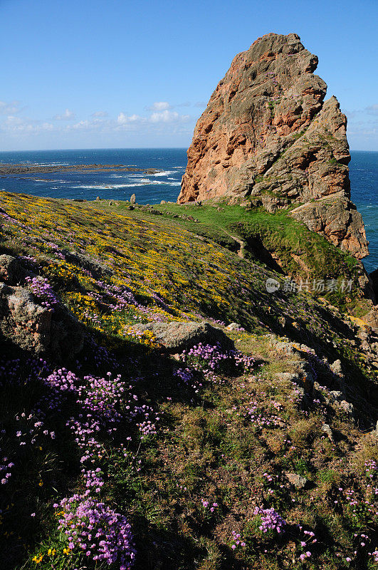 顶峰，泽西岛。