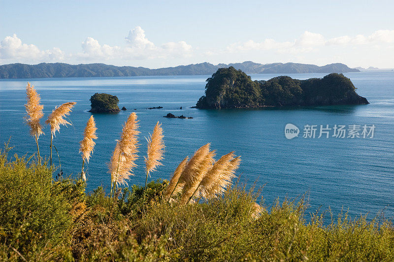 科罗曼德海岸