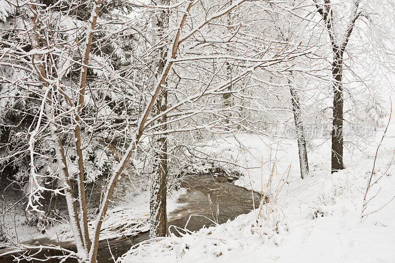 雪景与小溪