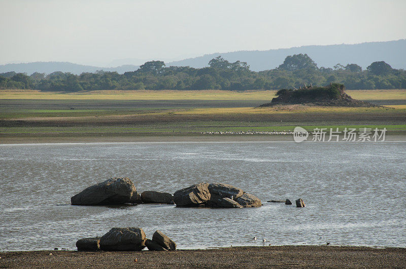 Polonnaruwa、斯里兰卡。