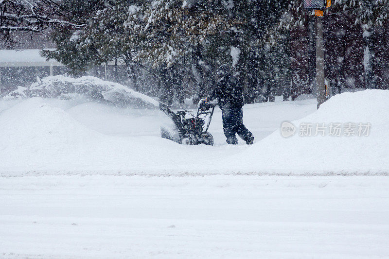 雪清