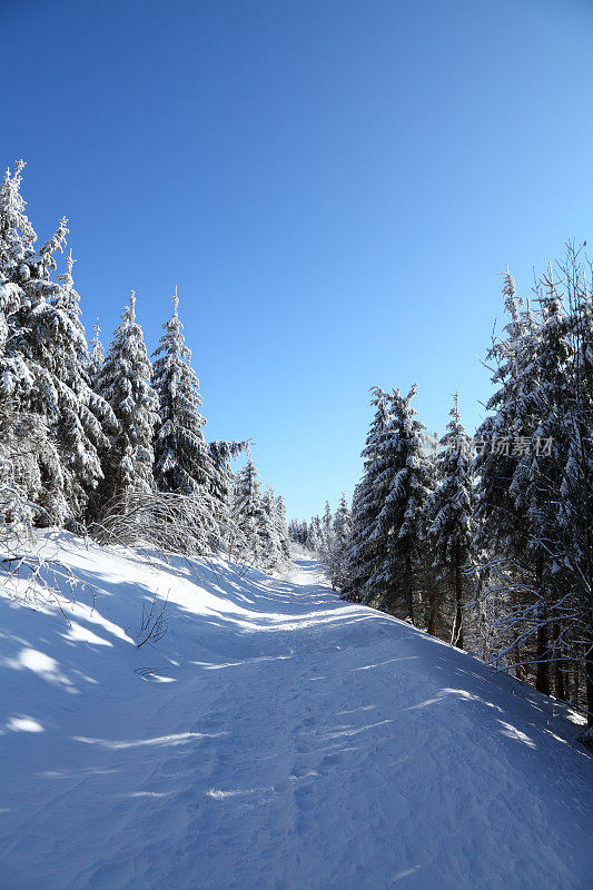 阳光winterday