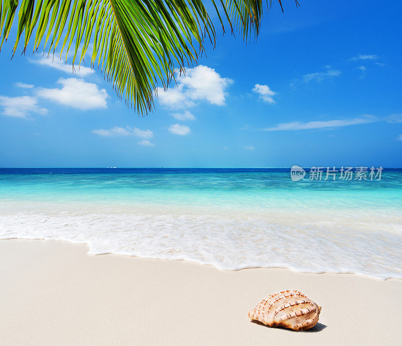 夏天海滩场景