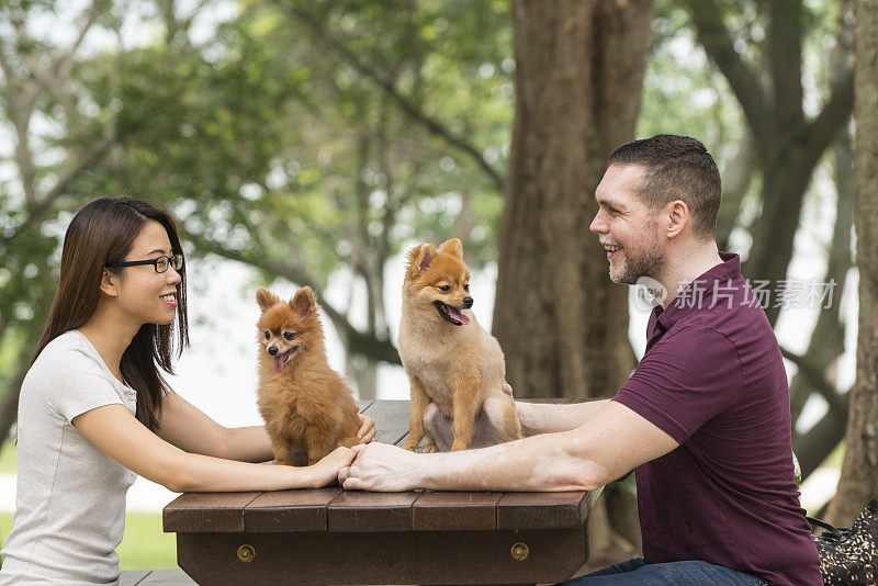 快乐的混血夫妇和博美犬