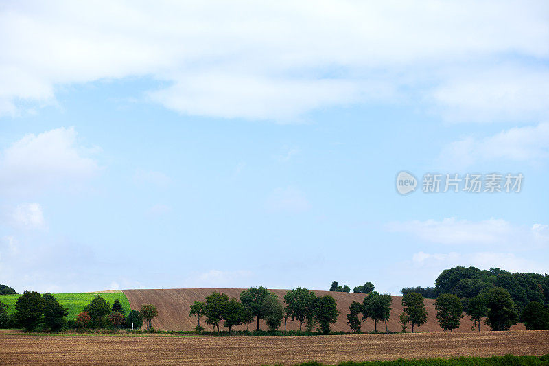 树木和田地在夏末收获