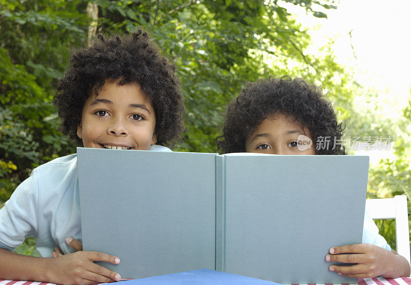 两兄弟喜欢一本书
