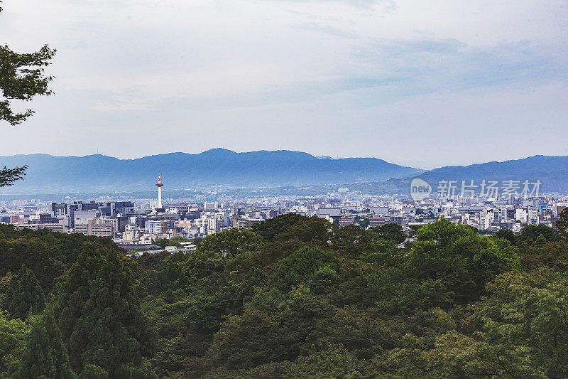 从森林中看到的京都市景