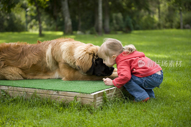 小女孩亲吻她的宠物狗