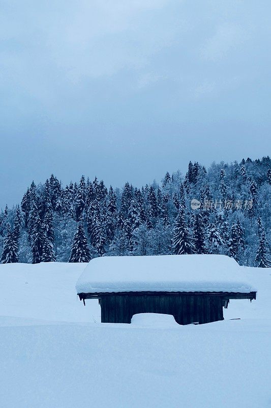 在欧洲阿尔卑斯山脉，冰雪覆盖的冬季景观和森林