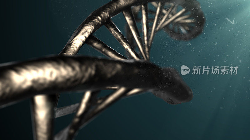 基因紊乱DNA双螺旋分子生物技术克隆