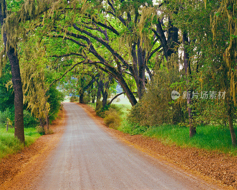 加利福尼亚州圣路易斯奥比斯波附近的乡村土路