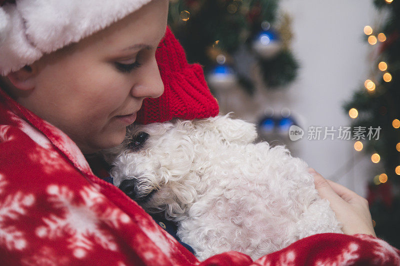 女人在圣诞老人的帽子和小有趣可爱的狗在圣诞节的背景