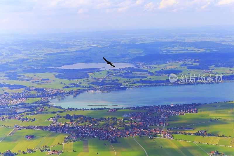 金色的秋天，鸟儿飞过巴伐利亚阿尔卑斯的福根湖——富森和施万高——德国