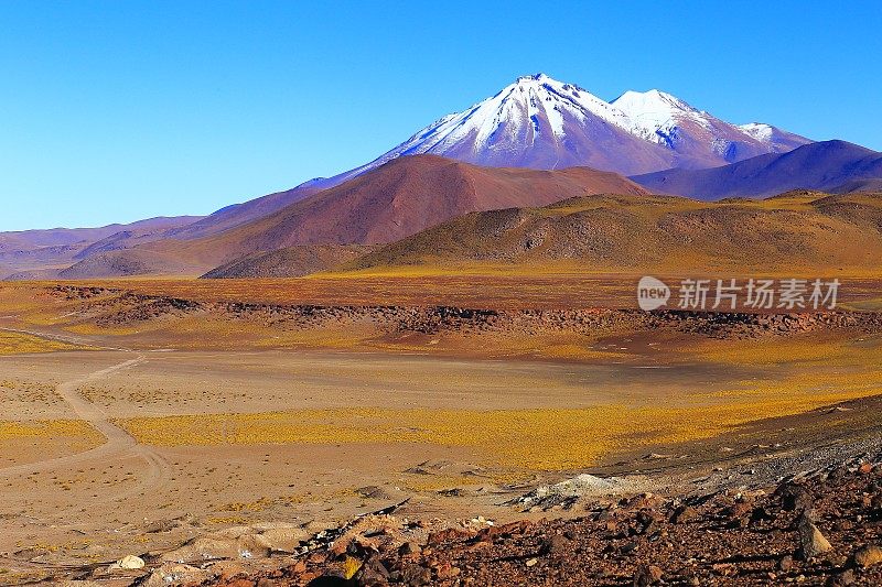 山土路通过智利安第斯高原在日出和火山，田园诗般的阿塔卡马沙漠，白雪皑皑的火山草原普纳景观全景-安托法加斯塔地区，智利安第斯，智利Bolívia和阿根廷边境