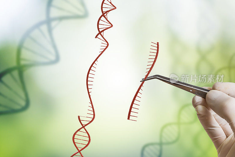 手正在插入DNA序列。基因工程，转基因和基因操作概念。