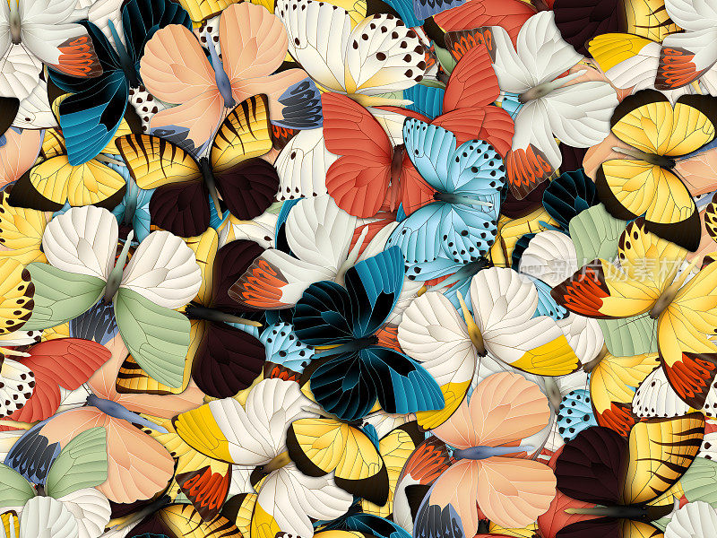 无缝模式与许多不同的蝴蝶