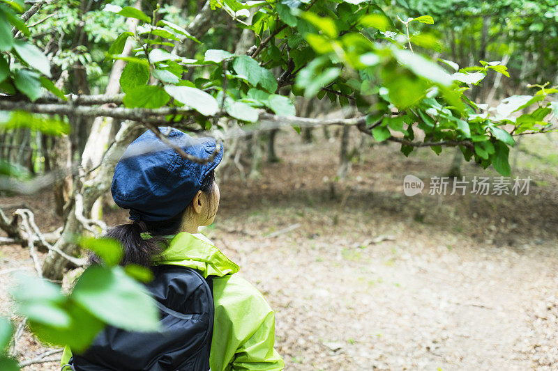 亚洲女性徒步旅行者在自然小径上行走。