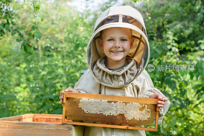 小养蜂人手里拿着一个装满新鲜蜂蜜的蜂巢。养蜂。新鲜的蜂蜜。