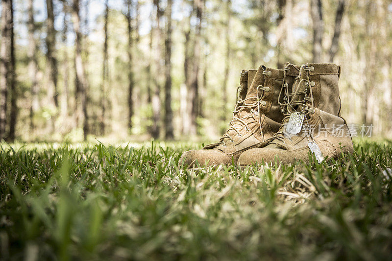 美国军靴和户外狗牌。