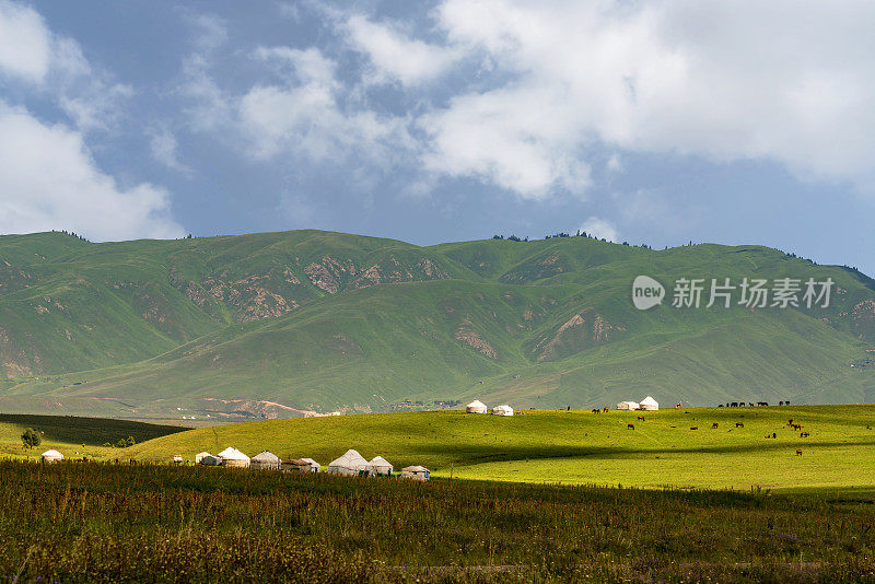 草原风光，中国新疆维吾尔自治区