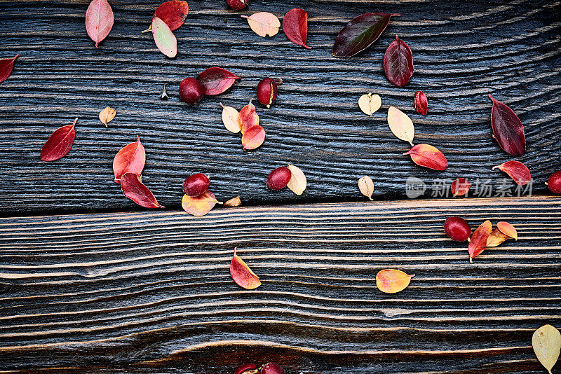 木制的背景与秋天的树叶和红色的浆果