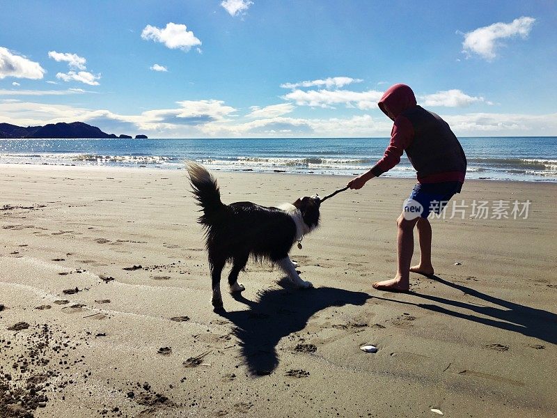 男孩和他的宠物边境牧羊犬在海滩上