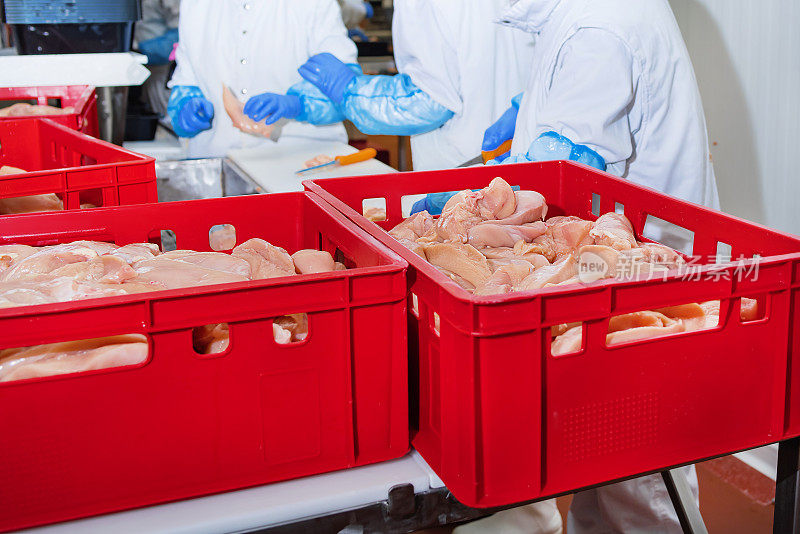 生产线用于肉类的包装和切割。肉类工厂的工业设备。肉类加工厂。肉类生产线。