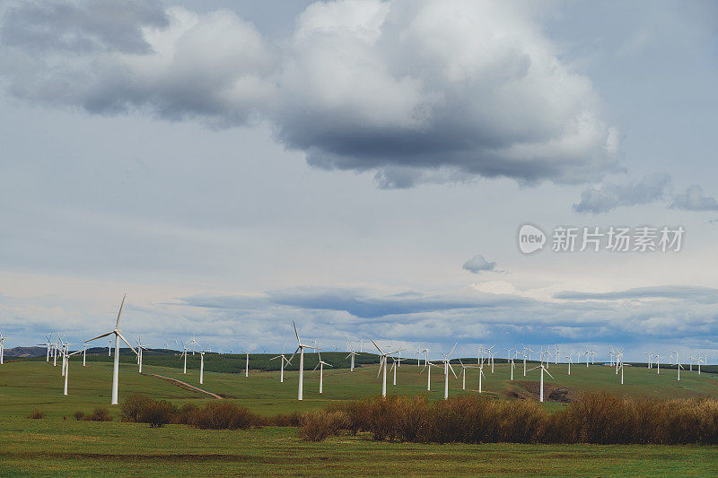 风力发电机下草原上的一群马