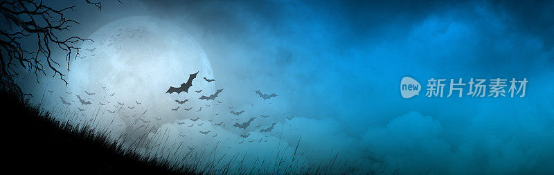 蝙蝠在阴天夜晚的满月衬托下的剪影