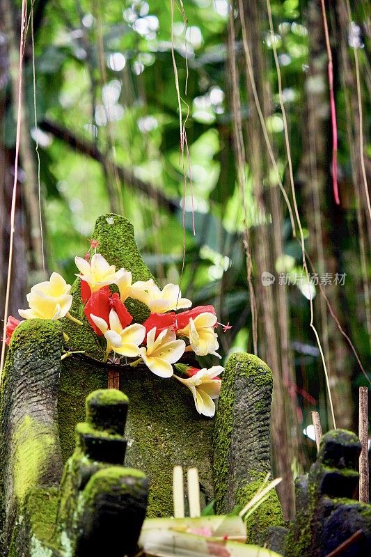 巴厘岛的宗教祭