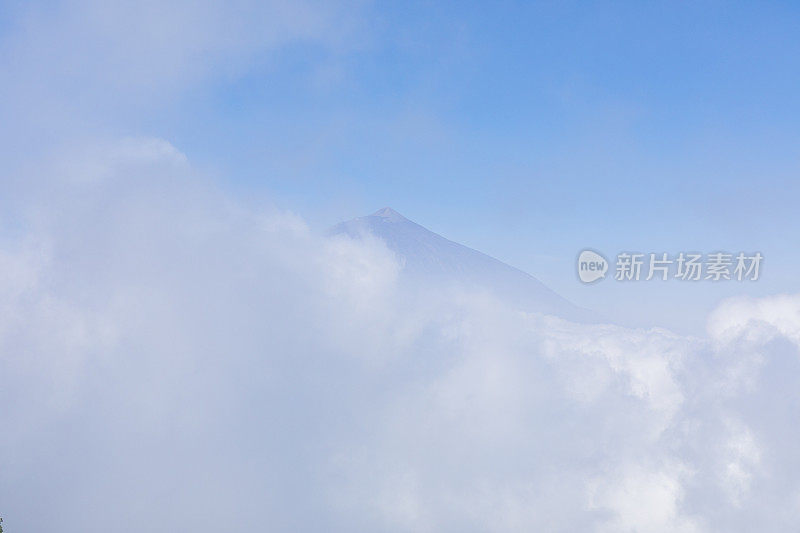 特内里费岛米拉多・德・希佩克景观。云朵和卡纳里松树