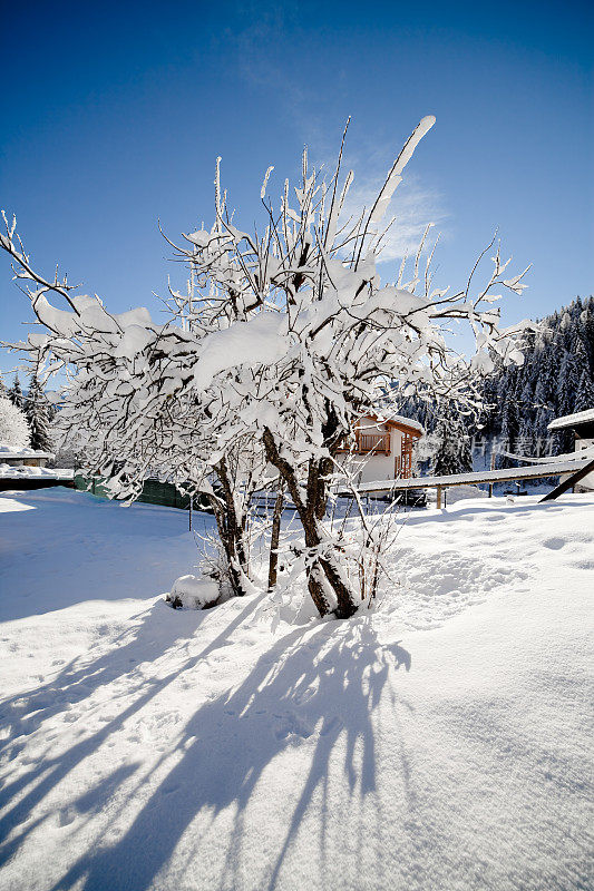 白雪皑皑的山峰