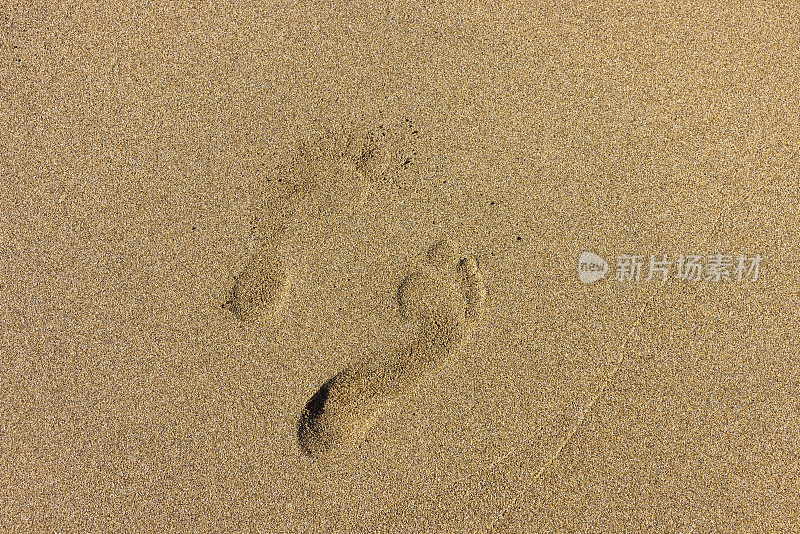 意大利撒丁岛海滩上女人的脚印。