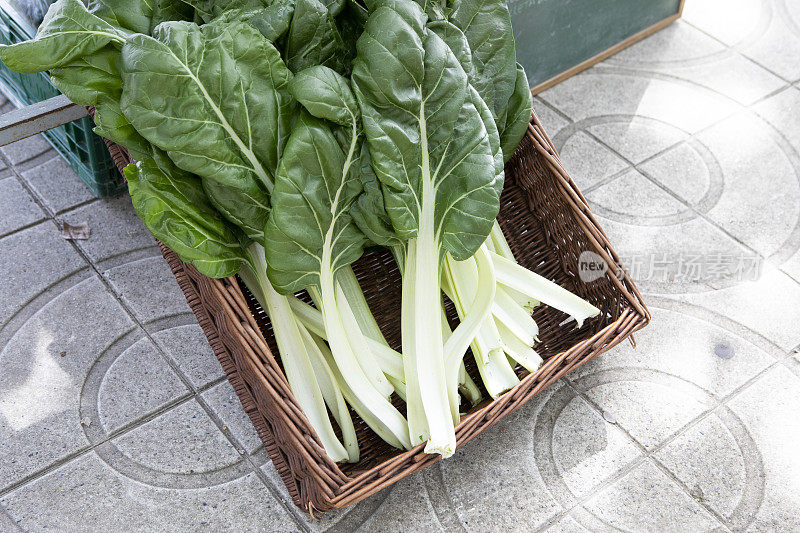 户外农贸市场篮子里的新鲜菠菜