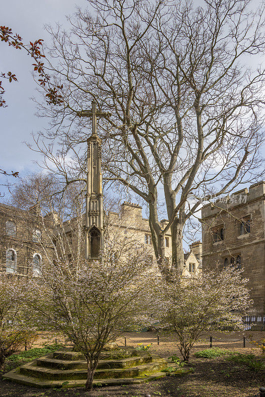 圣约翰剑桥学院，剑桥郡，英格兰，英国。