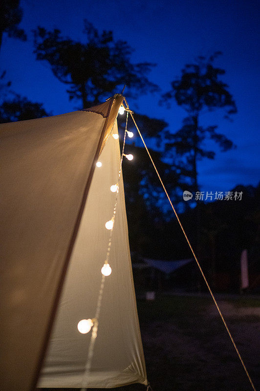 挂在帐篷里的夜电灯照亮了雨林